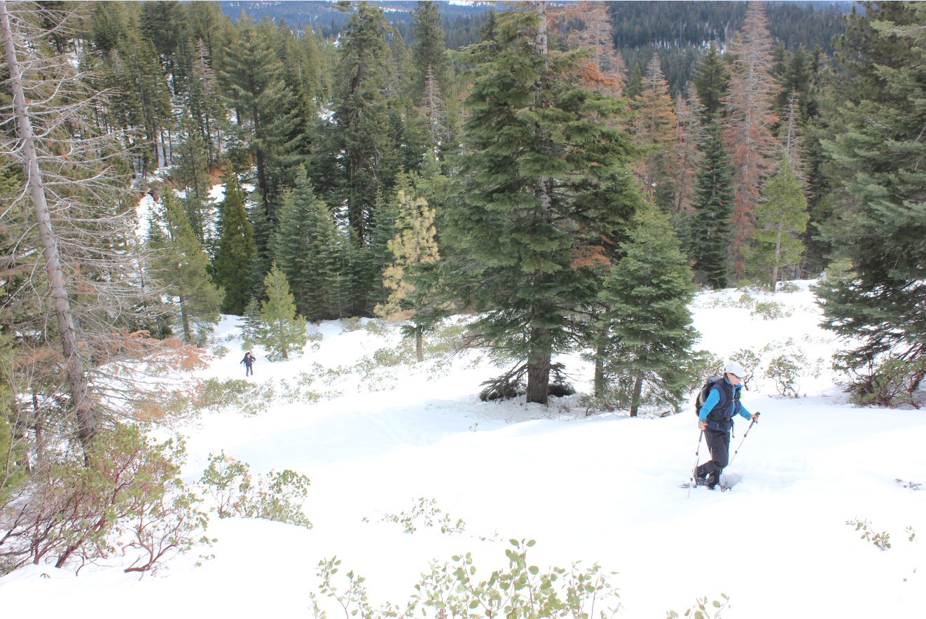 Steepness