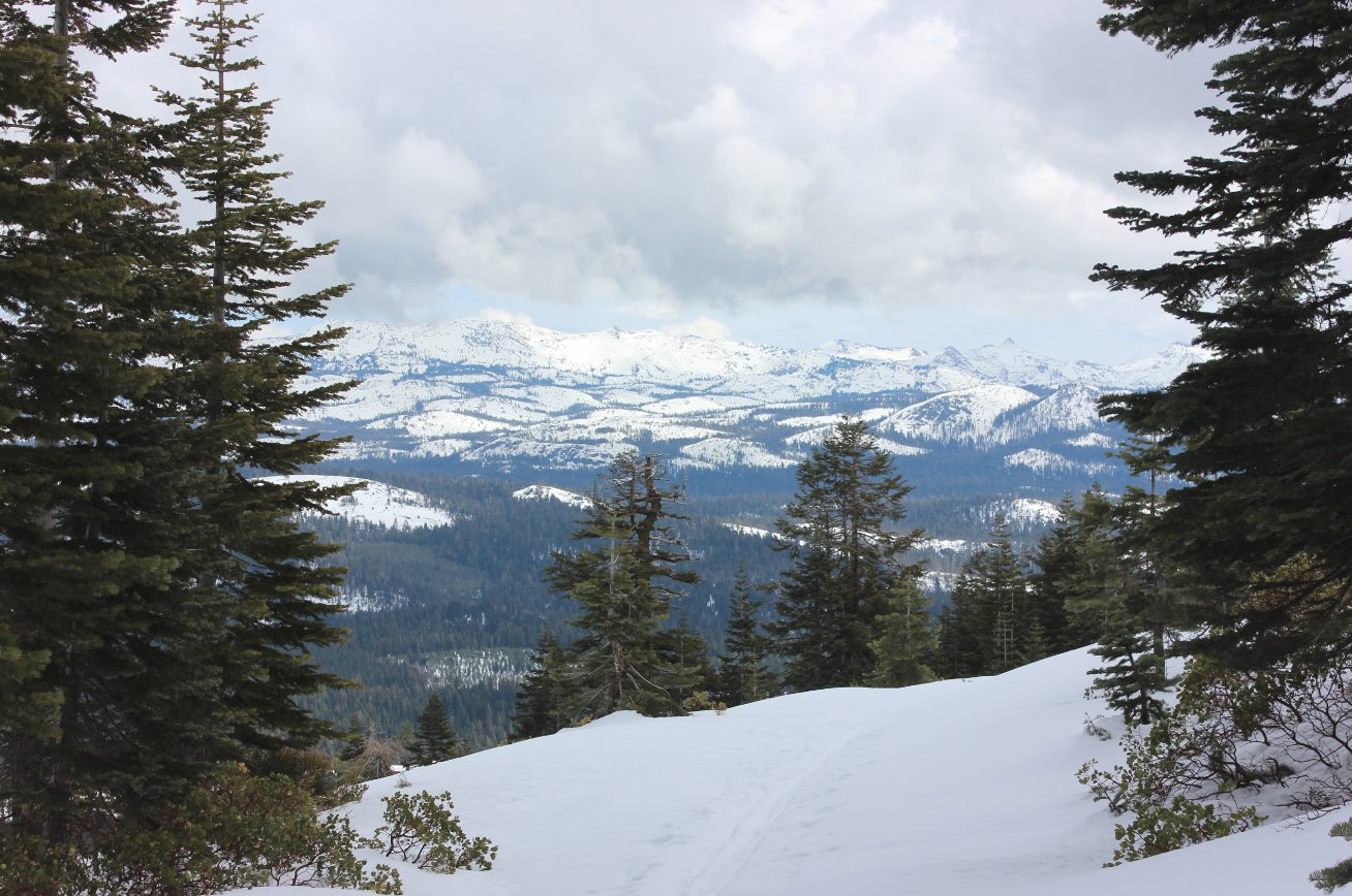 Crystal View