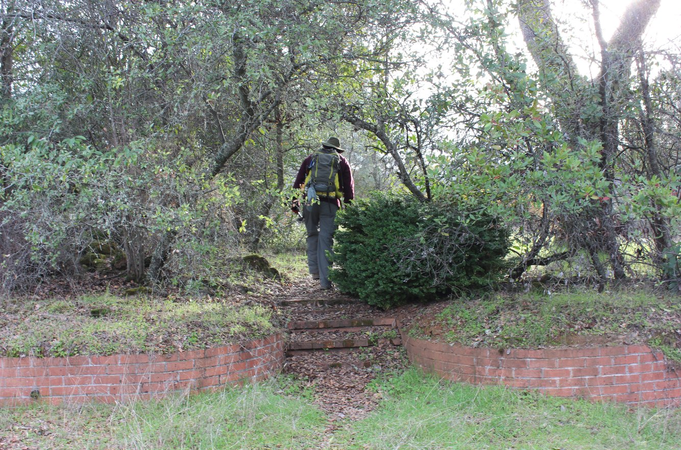 Exploring the ruins