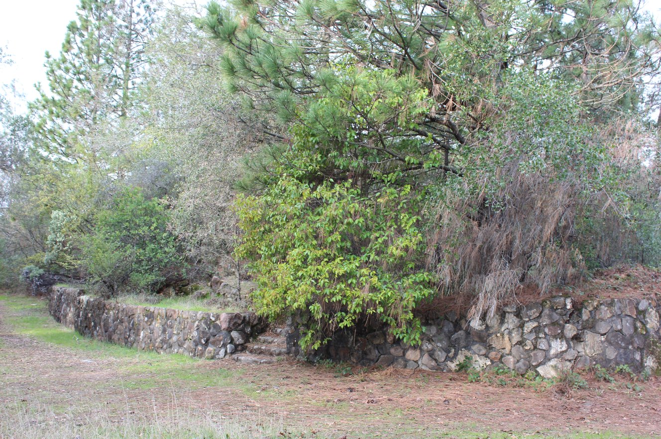 Backside of the homestead