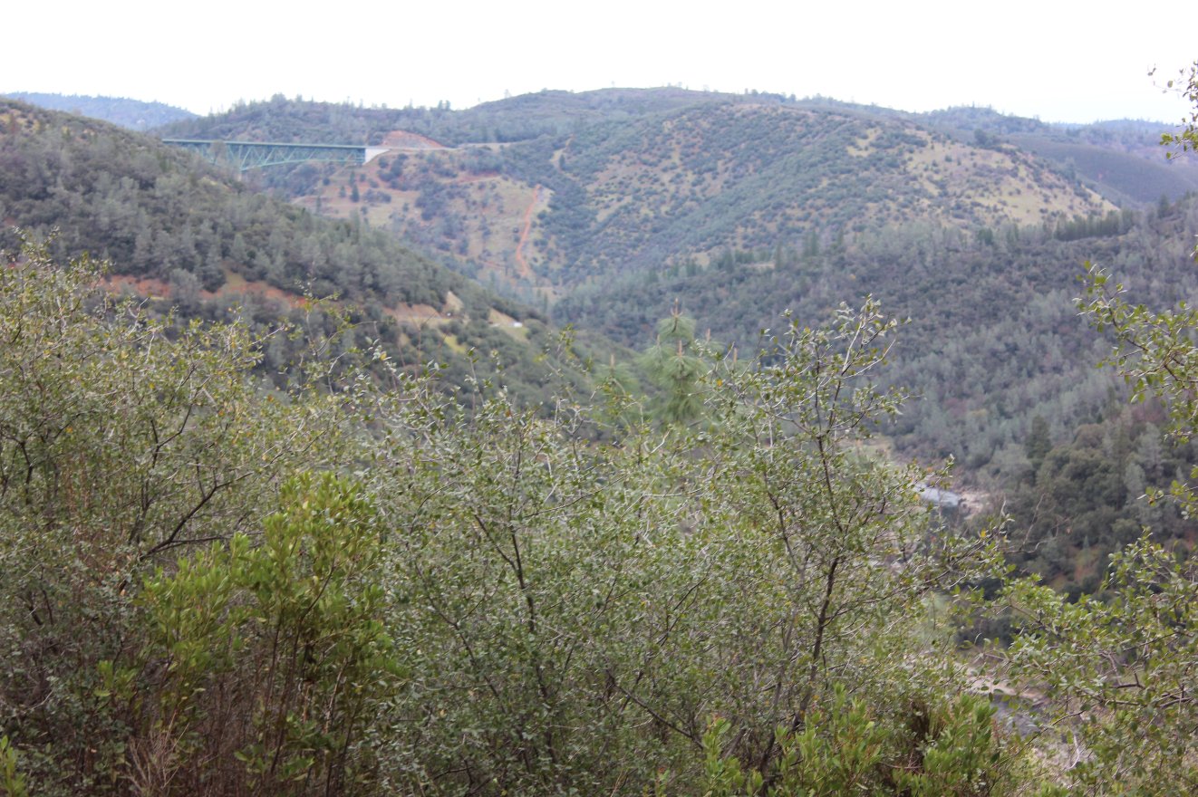 Foresthill Bridge