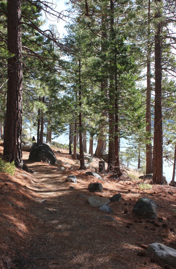 Typical Trail