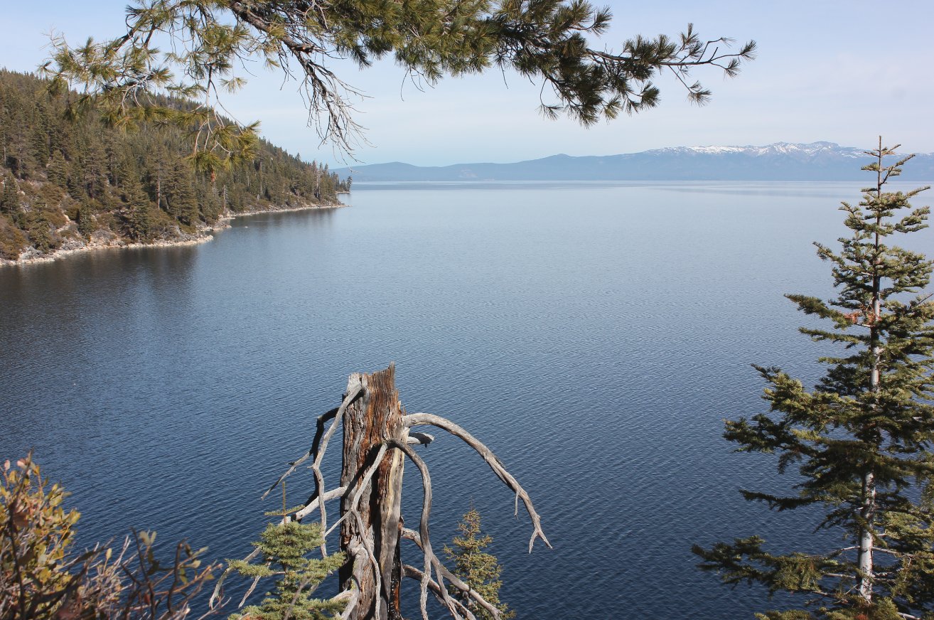 Lake Tahoe View