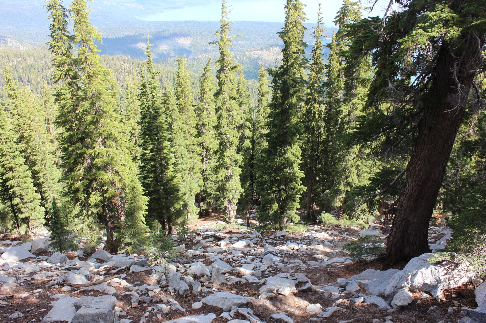 Steep climb