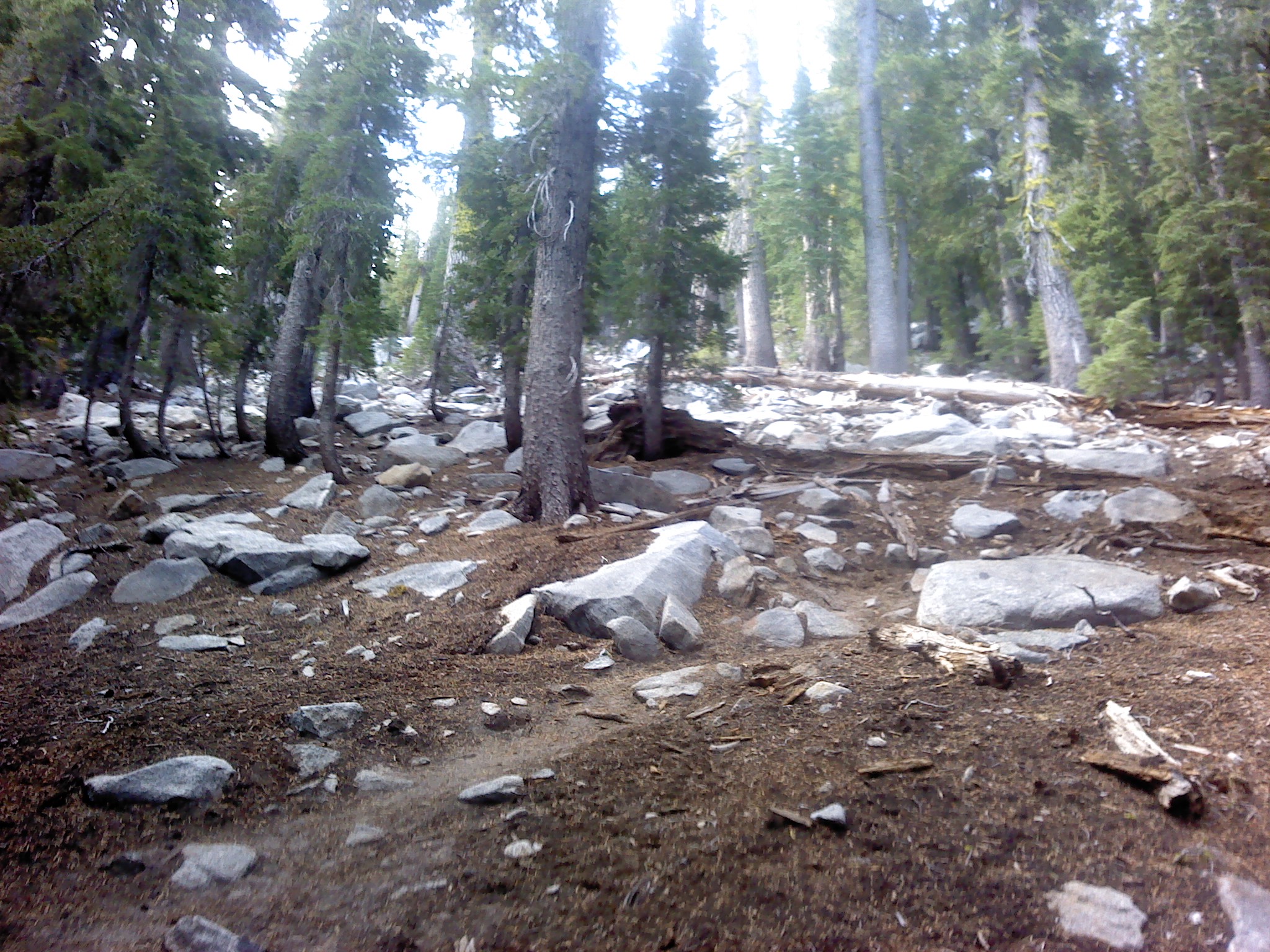 Steep hiking elevation all the way up and down