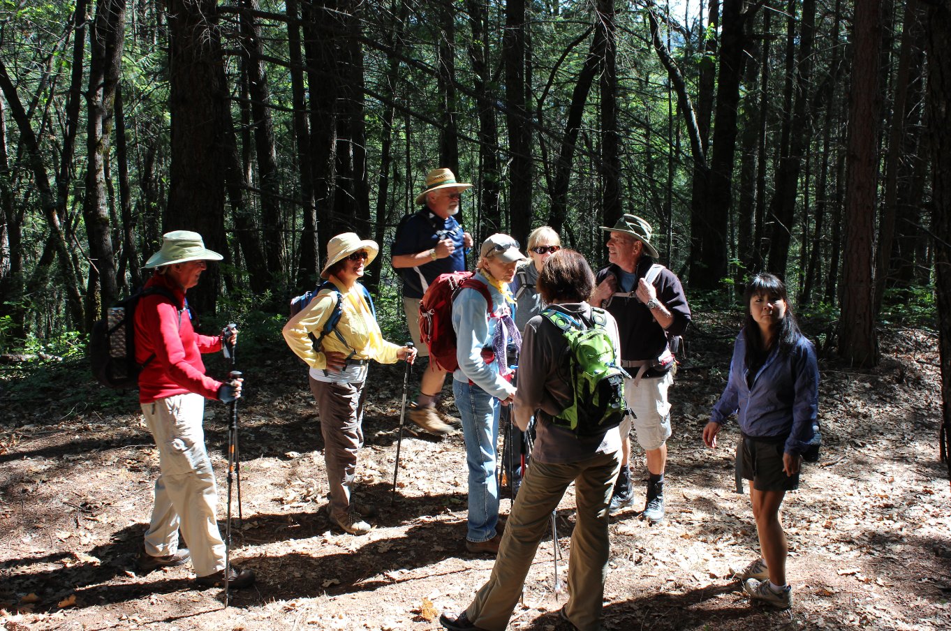 Group at the start