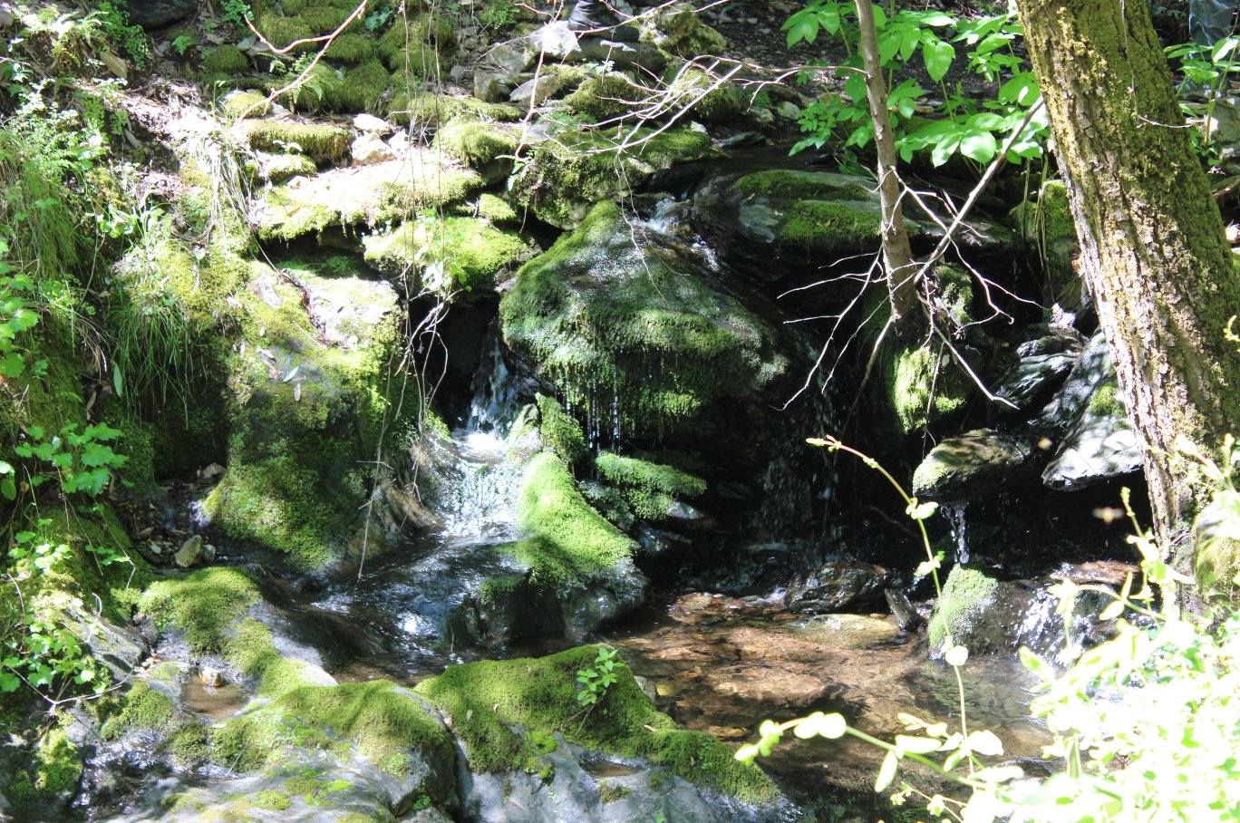 Waterfall