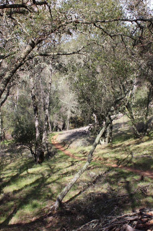 Peacefulness along the trail