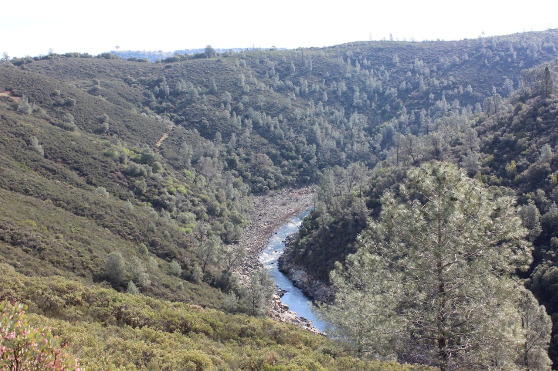 South Fork