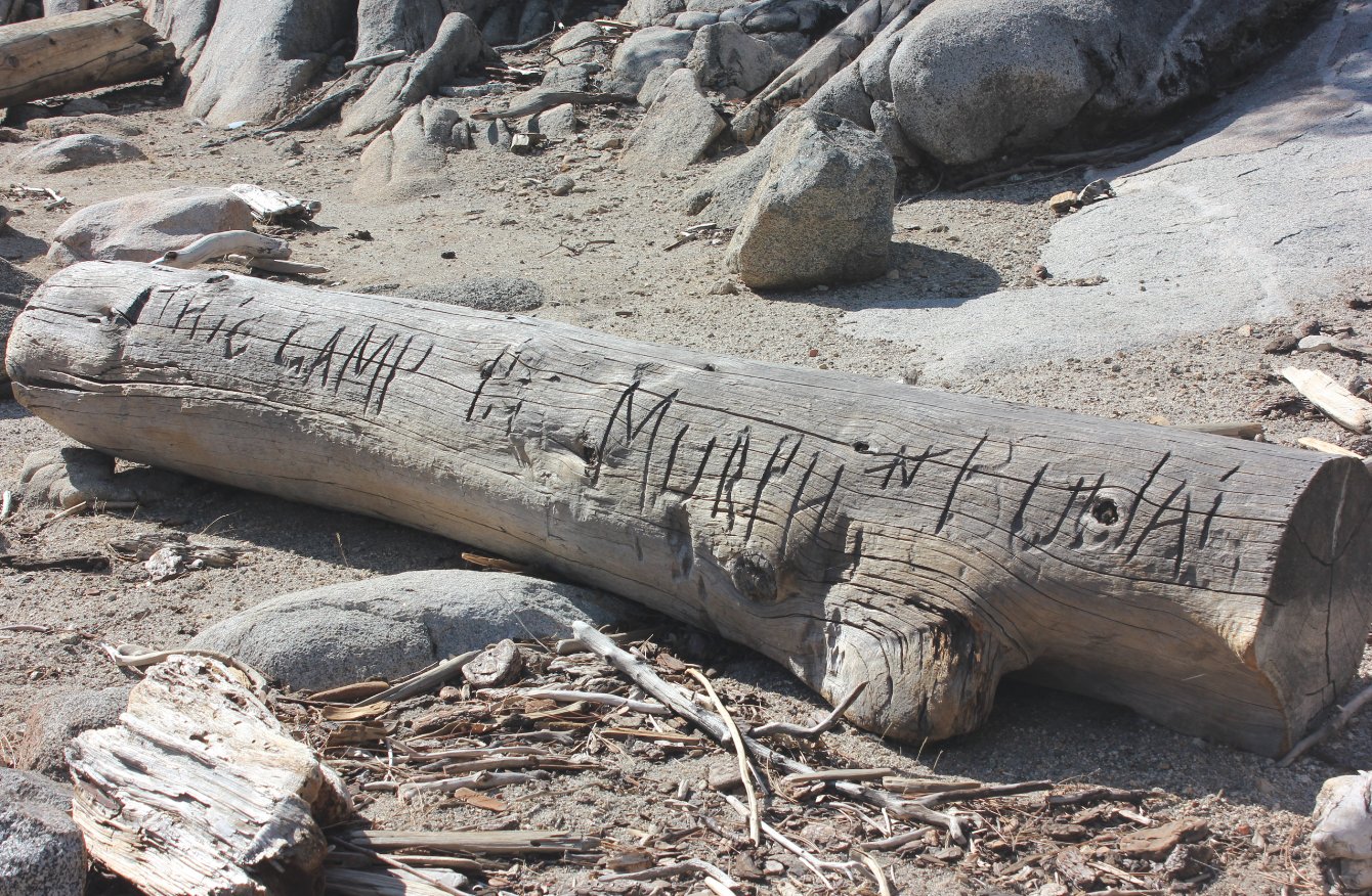 Carved Log