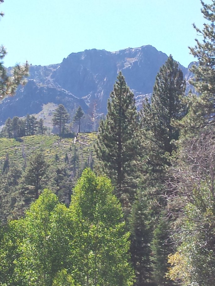 Mt. Tallac high above