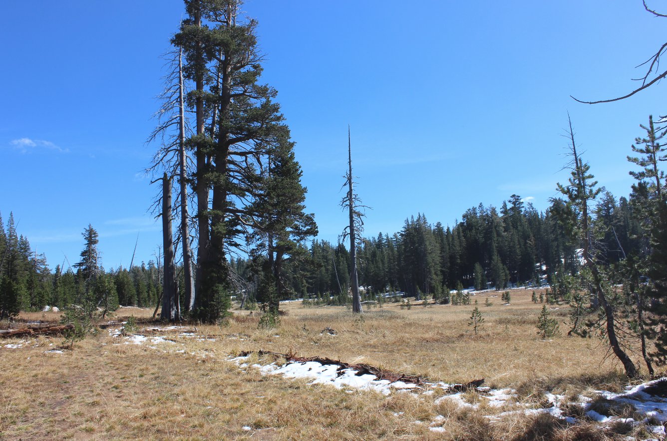 Bryan Meadow