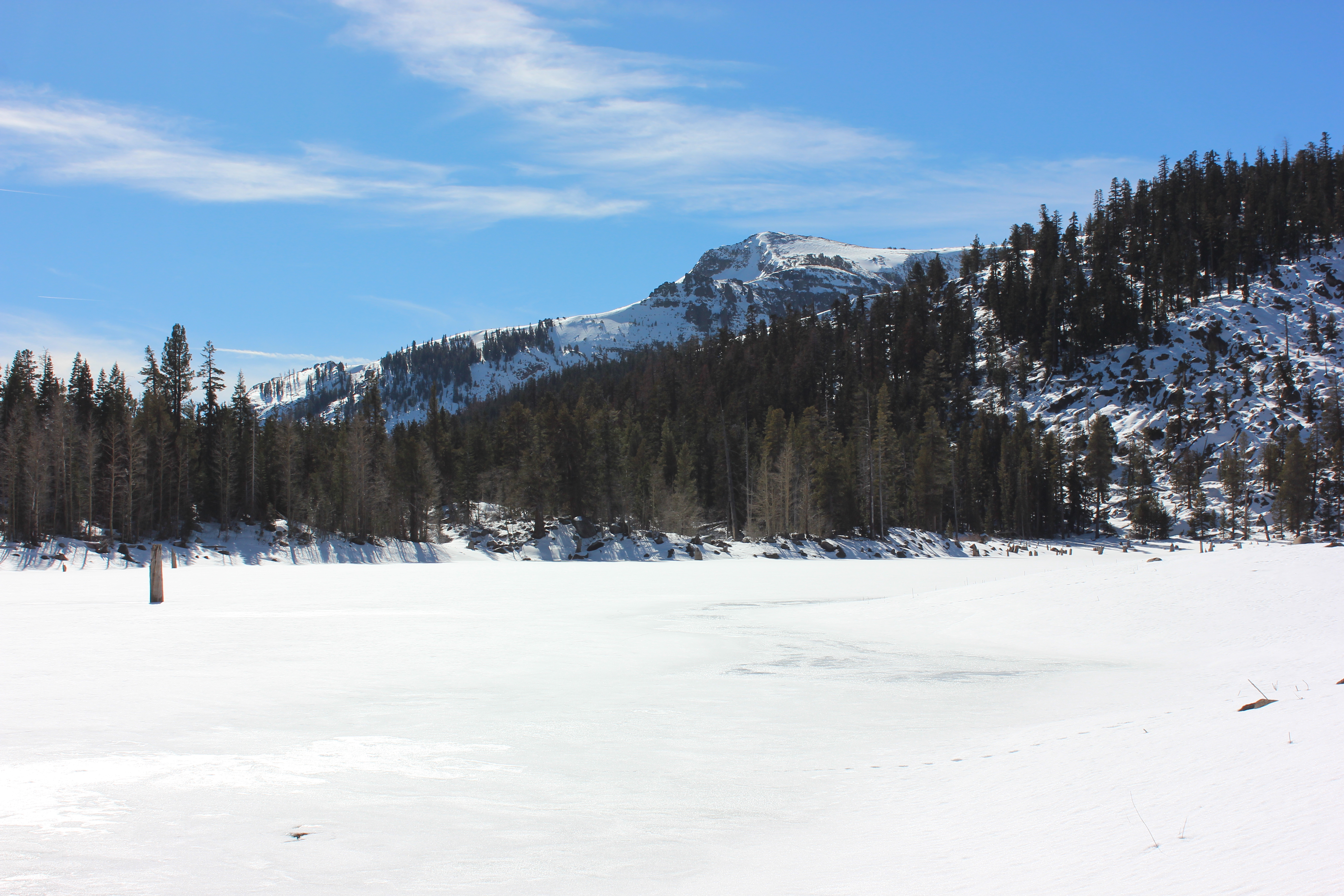 Scott's Lake