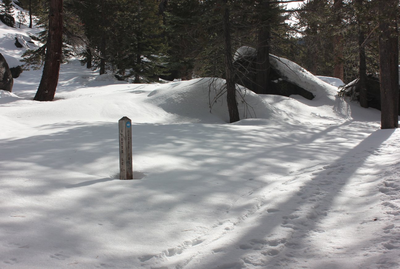 Trail junction