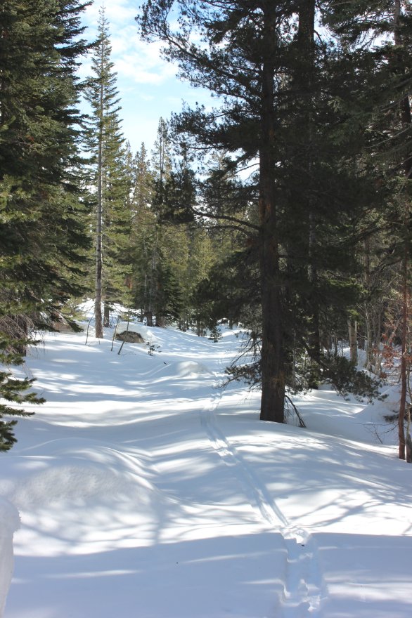 Following the ski trails