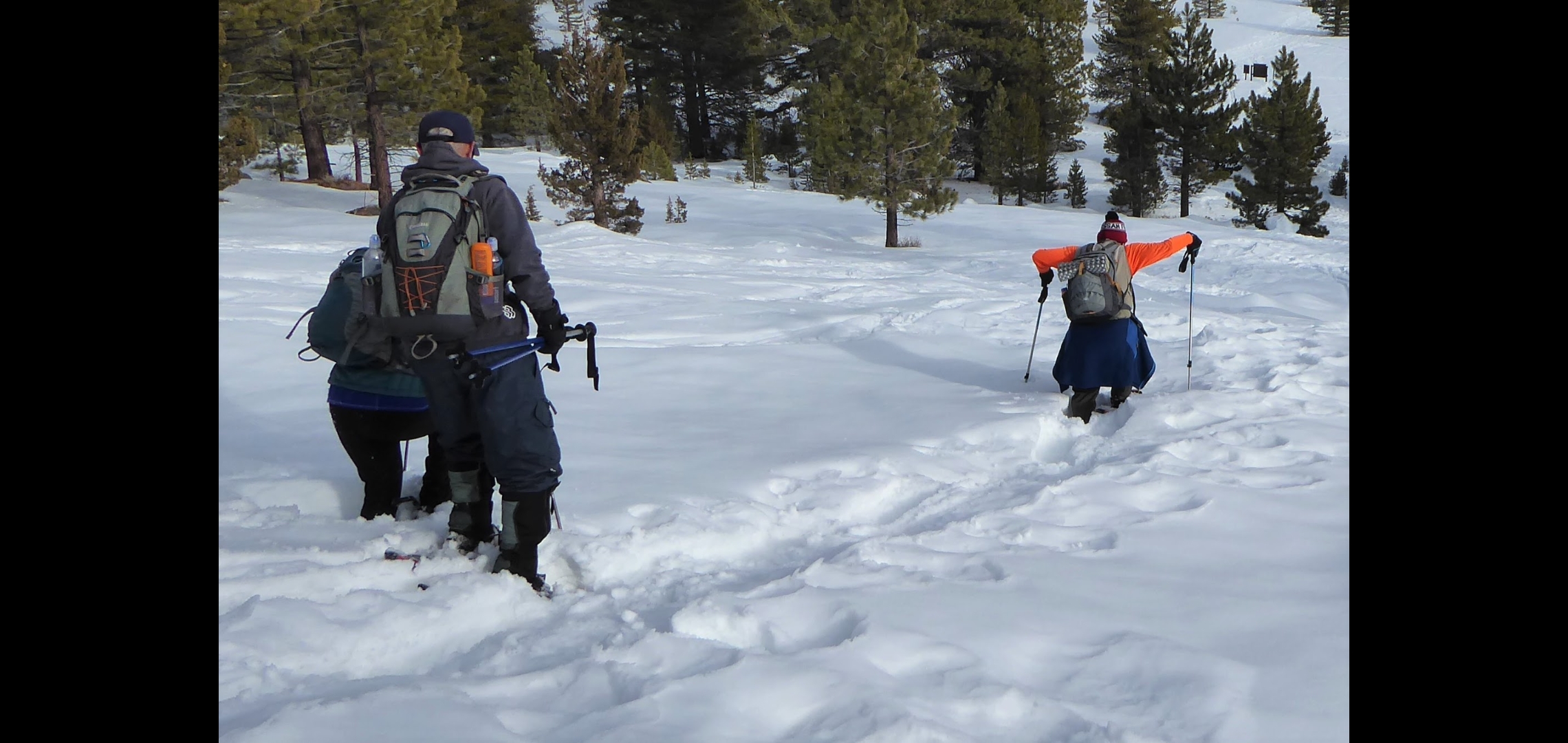 Postholing