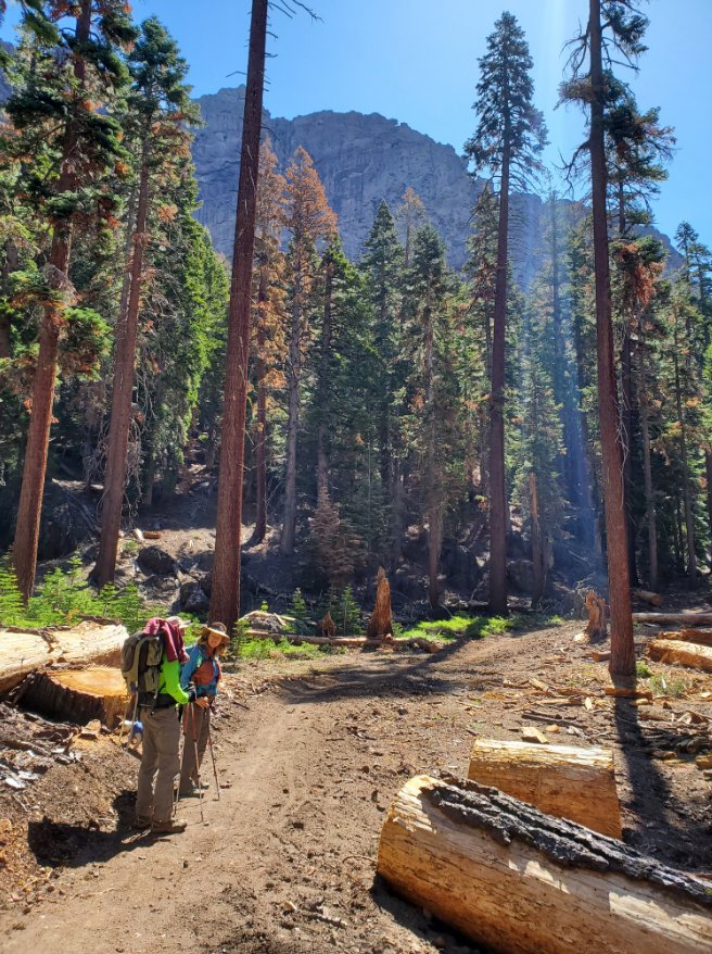 Amazing trail maintenance
