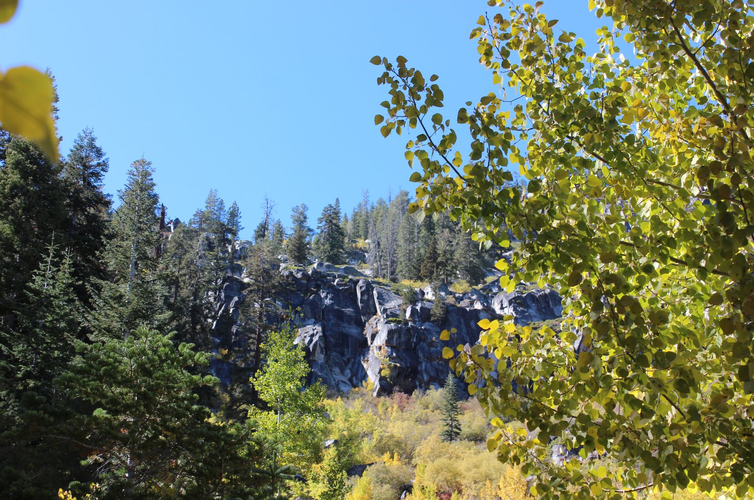 Fall colors