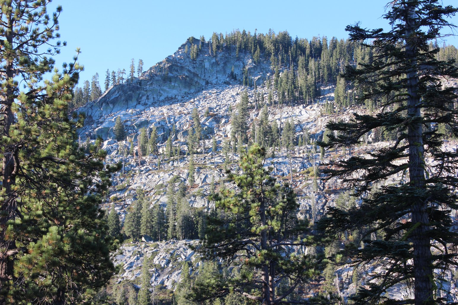 Scout Peak from near the start