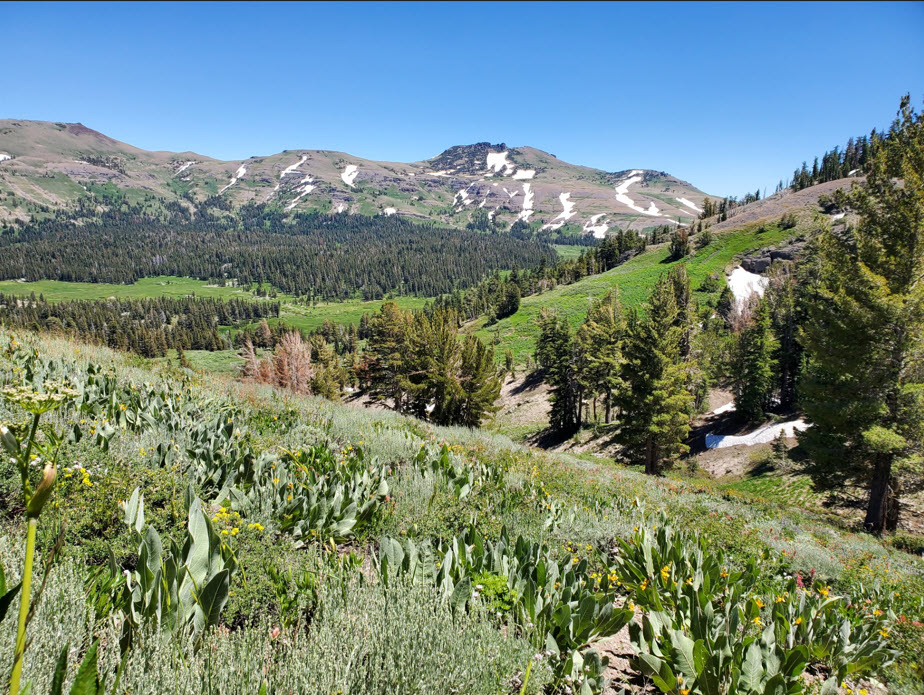 Heading down to the PCT