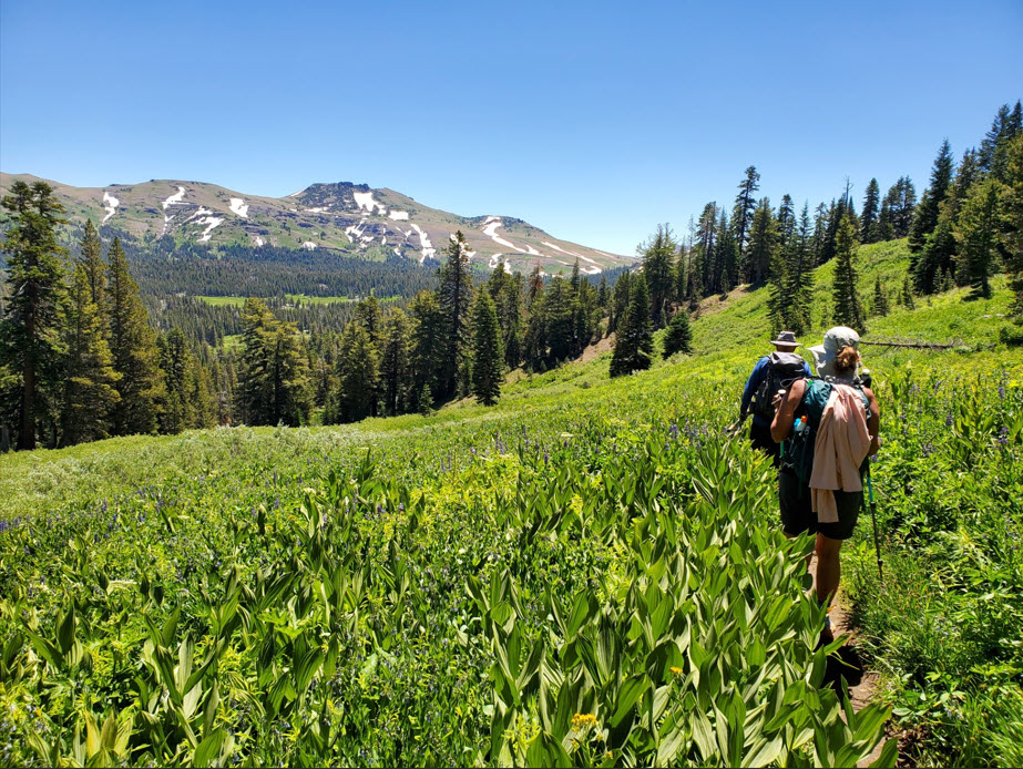 Heading down to the PCT