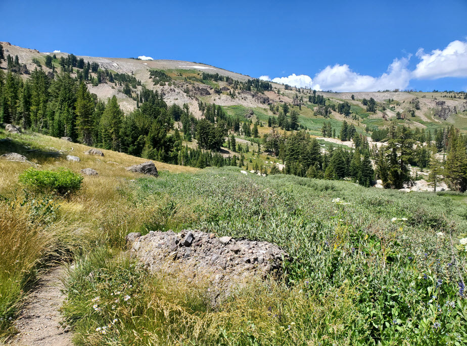 Trail heading up from Schneider Cow Camp