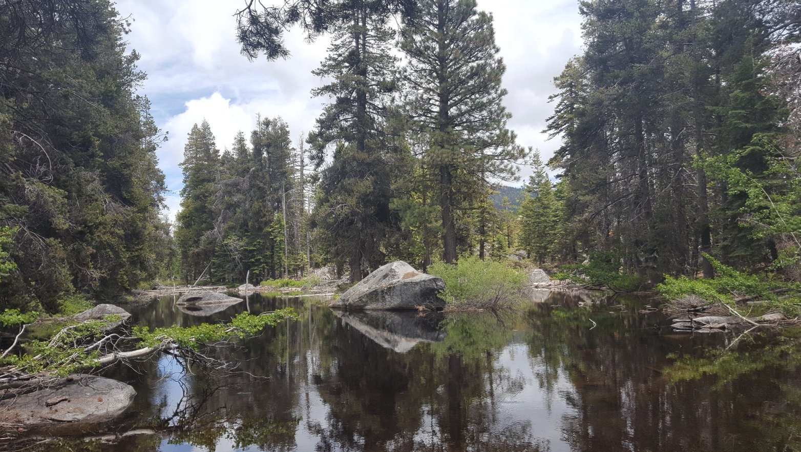 Pond on the way