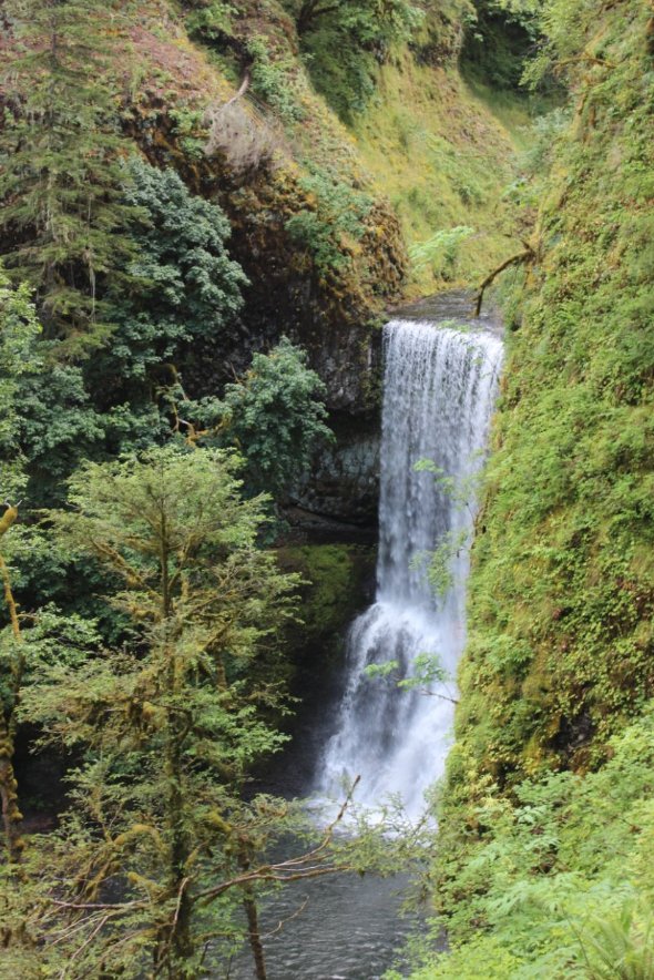 Lower South Falls from the trail