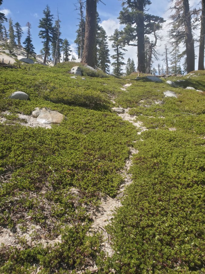 Use Trail