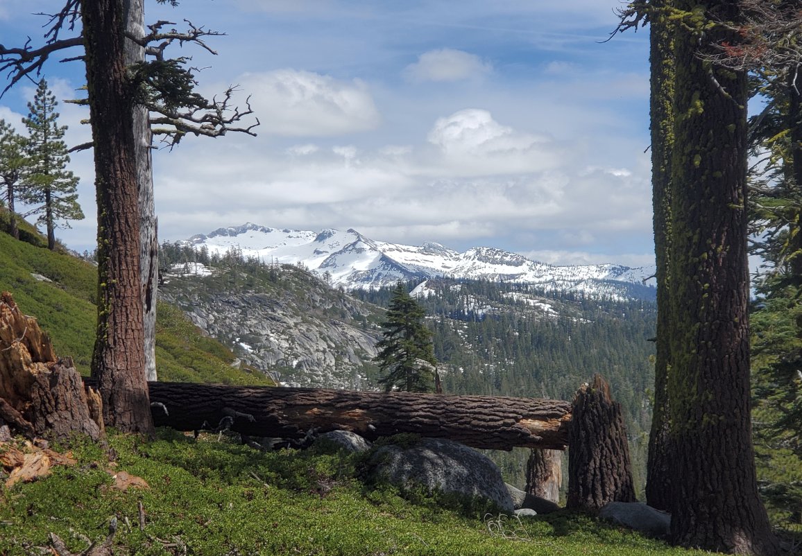 Framed view