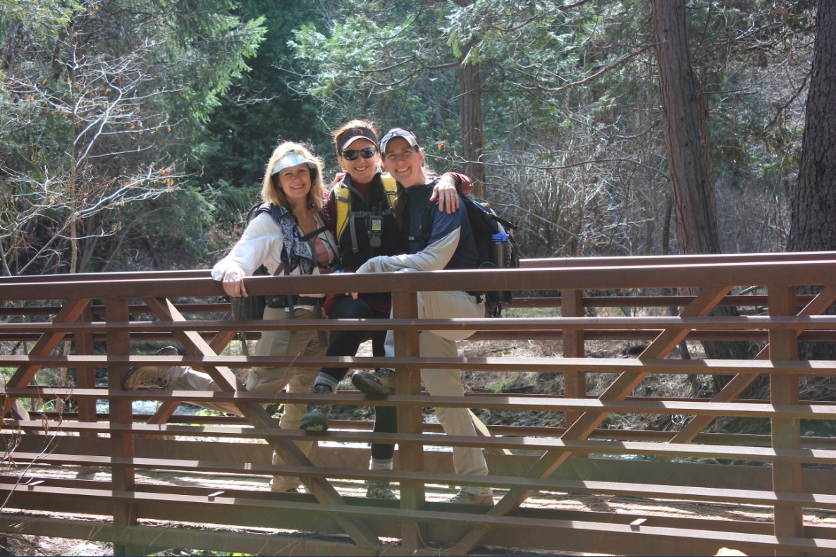 Bridge along the hike