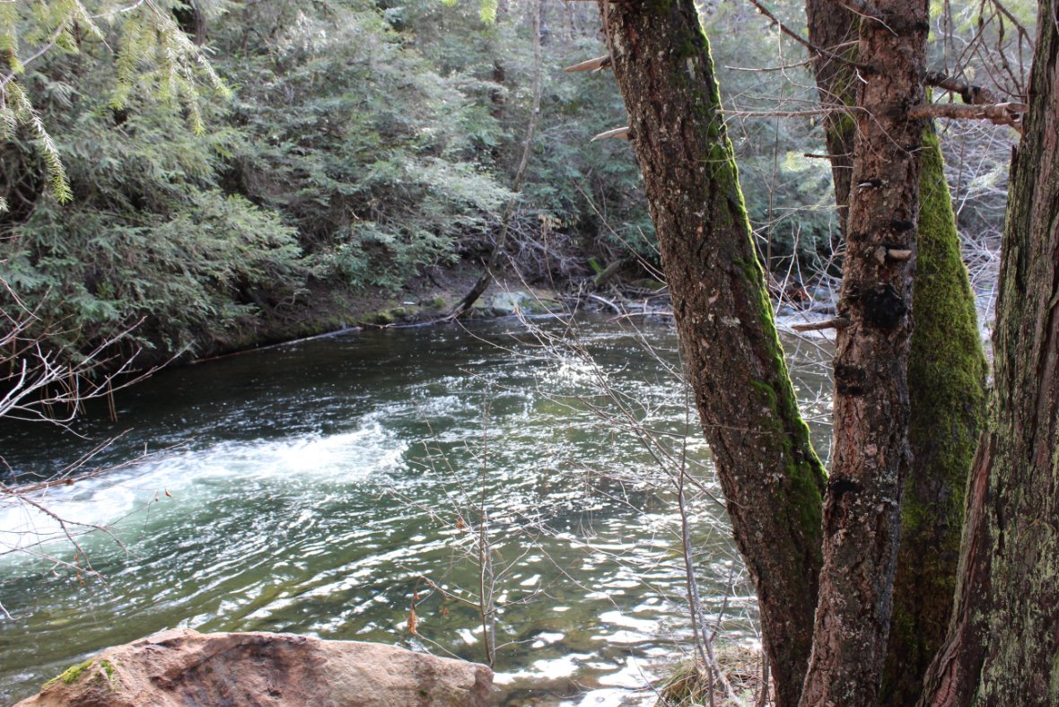 Peaceful spot near the finish