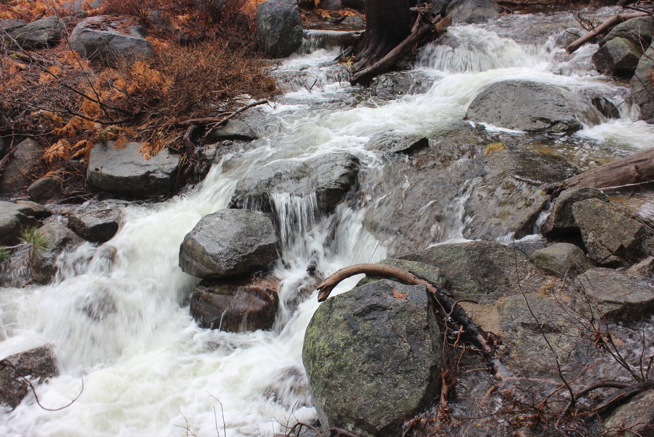 Lots of water