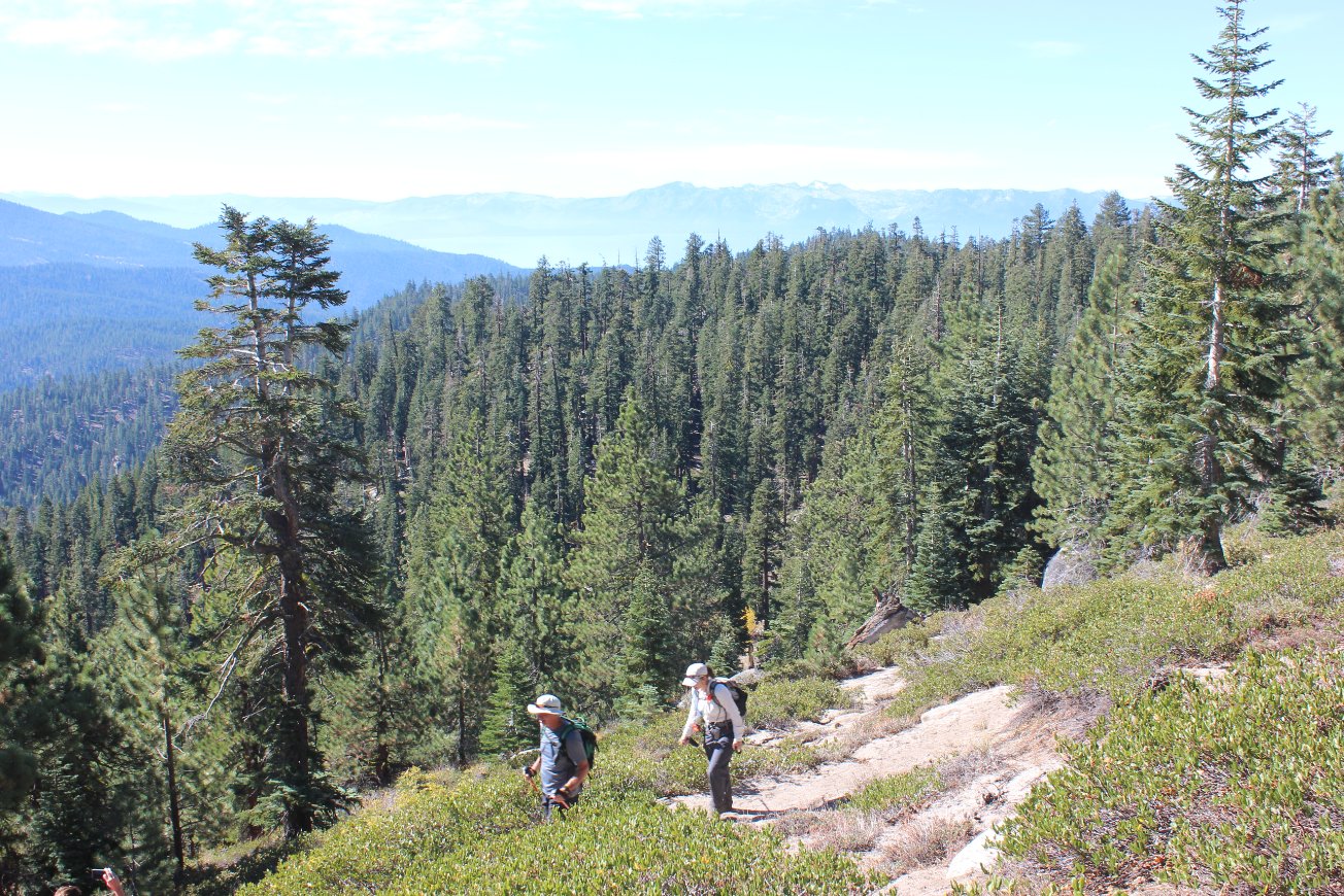 Heading up