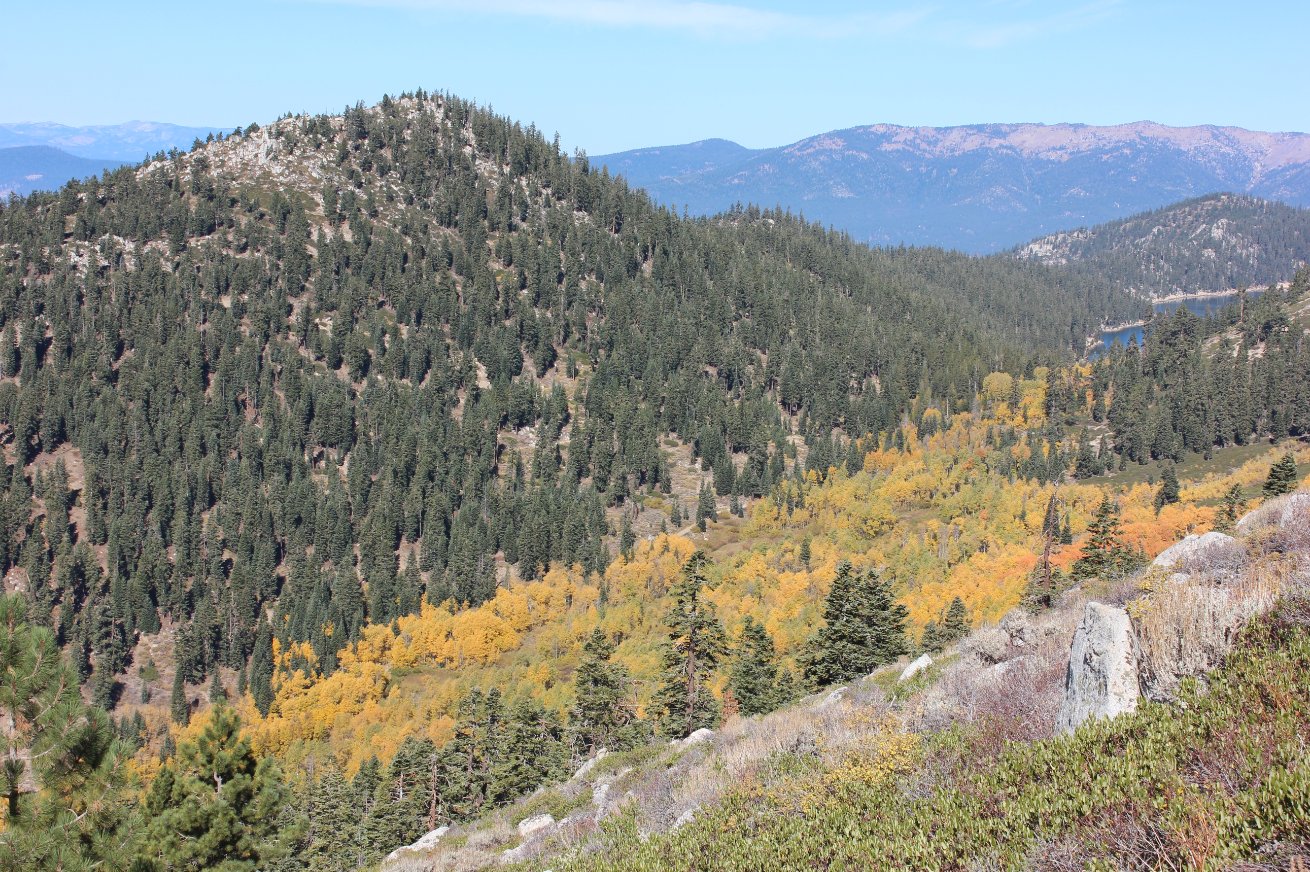 Fall Colors