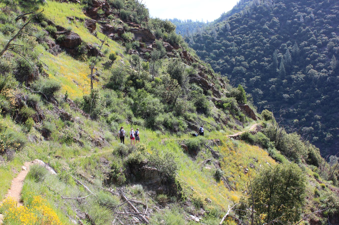 Continuing down the trail