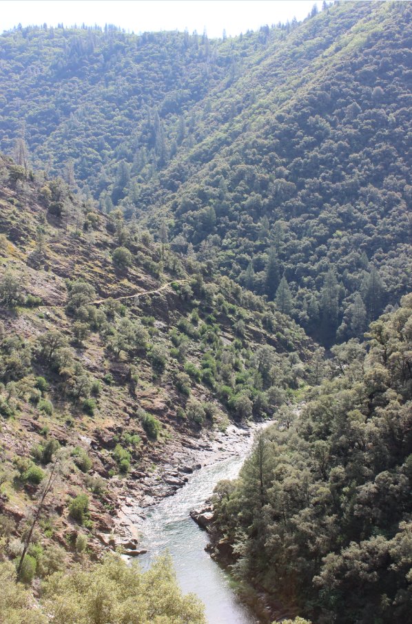 The river