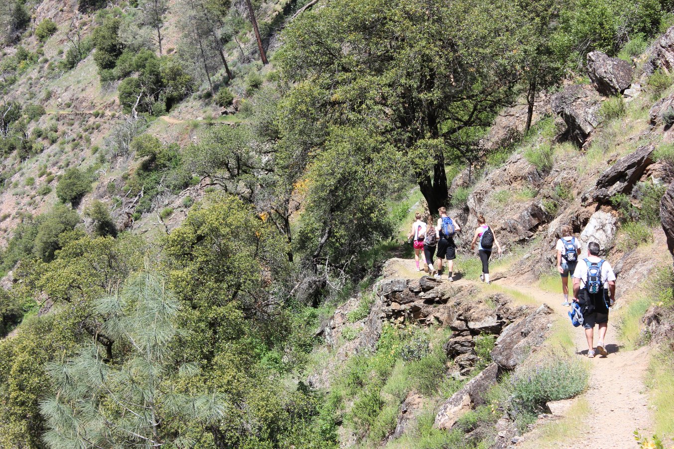 Along the trail