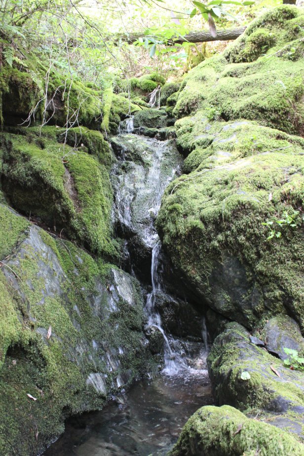 Water crossing