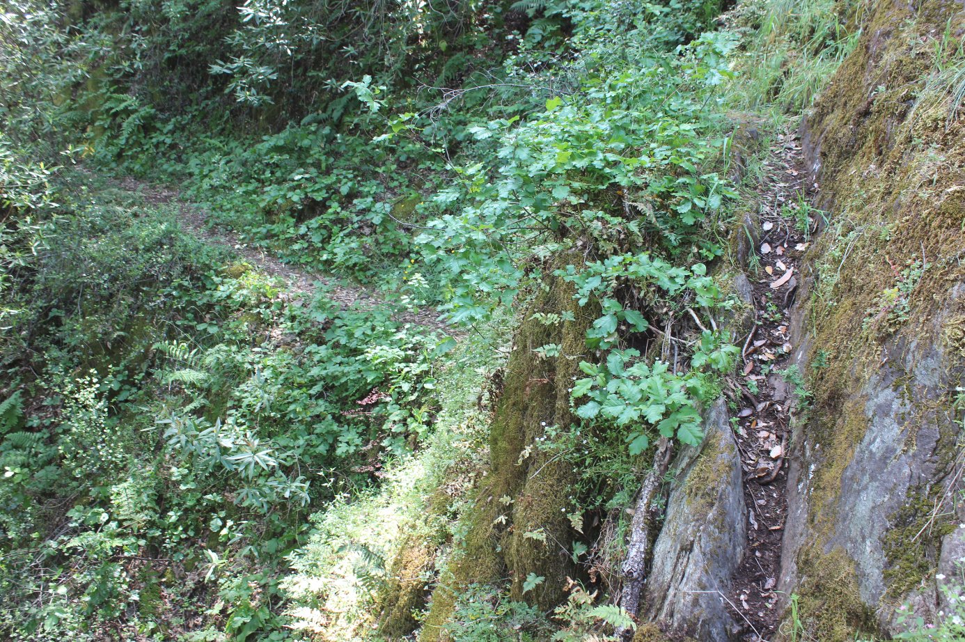 Washout