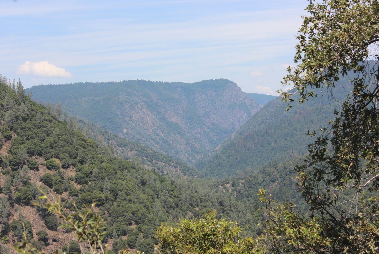 Looking east
