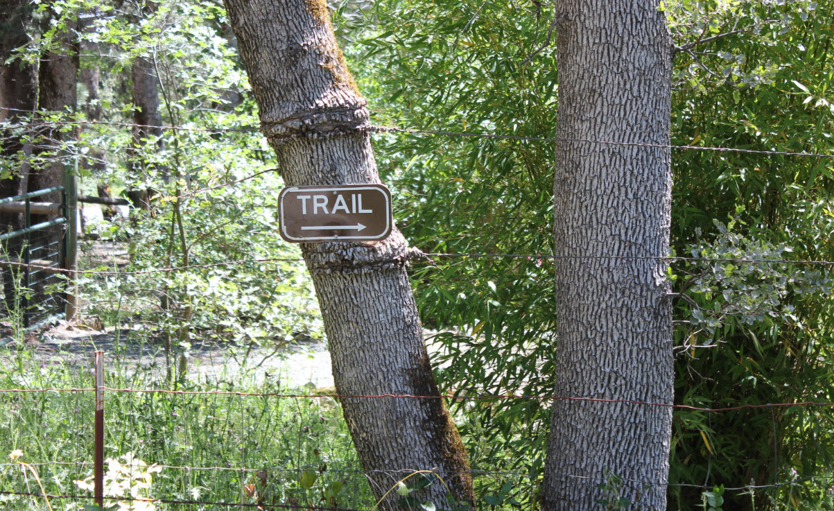 Along the road