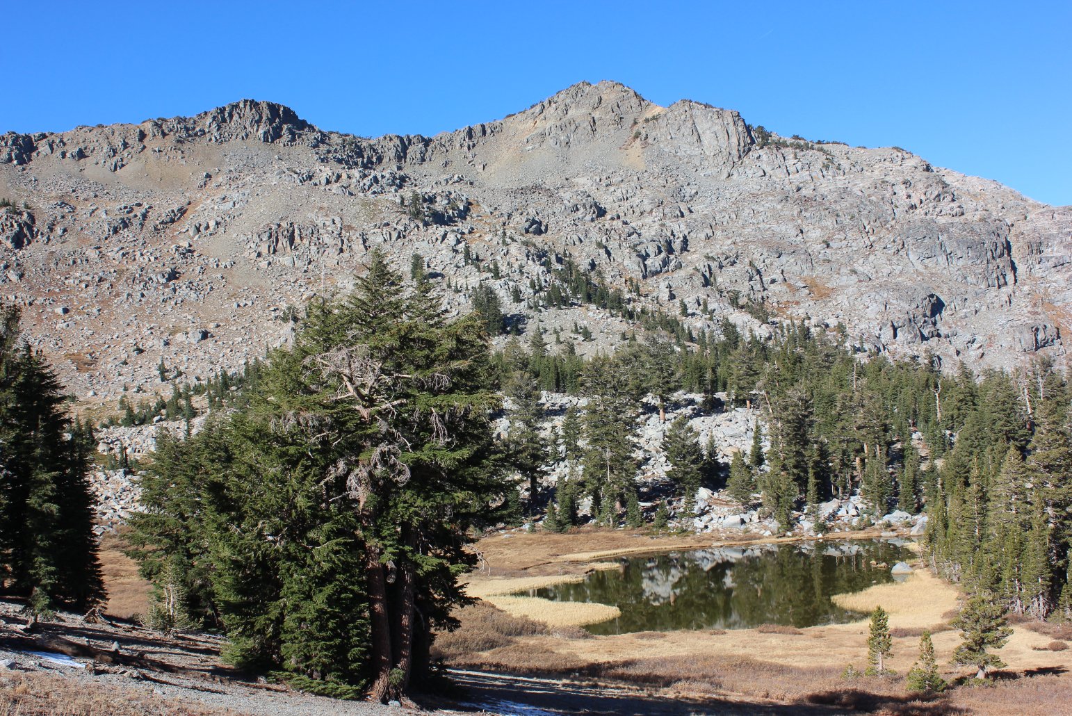 Dry Forestdale Divide