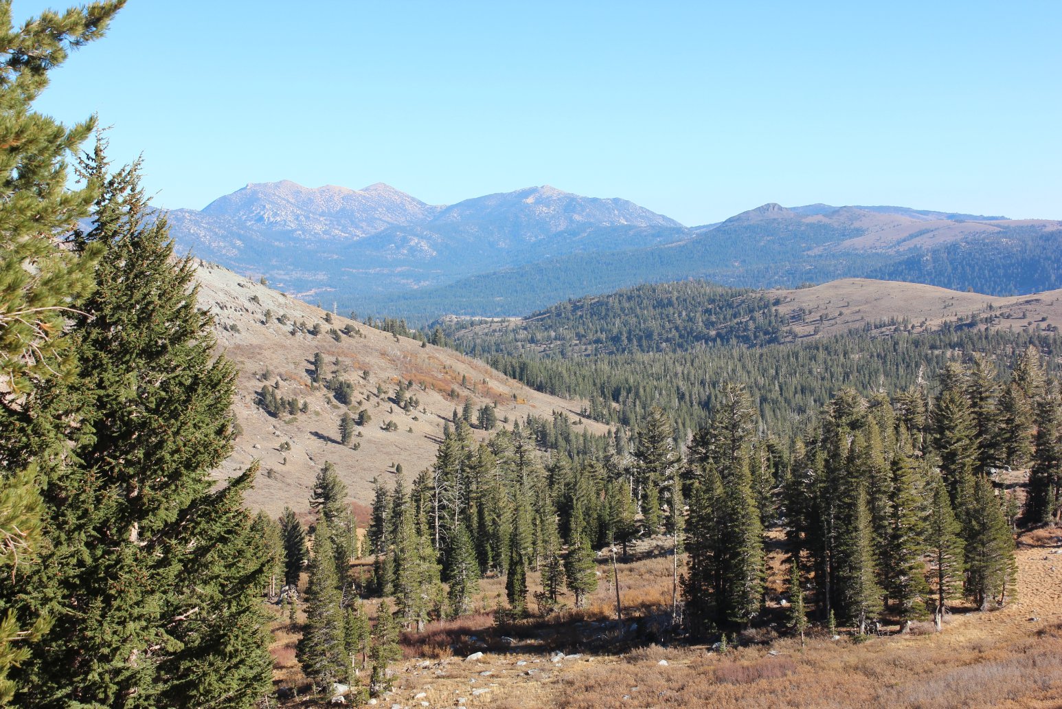Freel and Job's Peaks