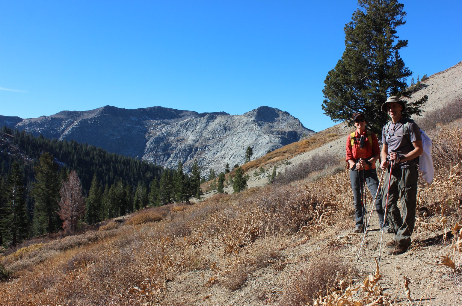 Summit City Canyon