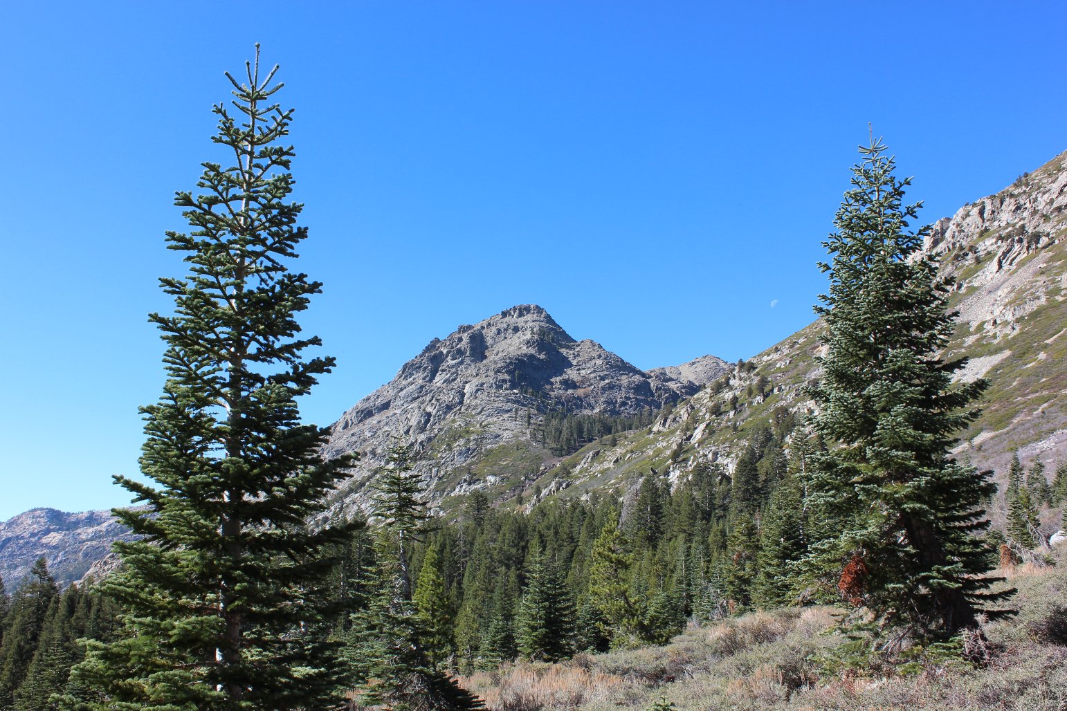 Looking up toward 4th of July Lake