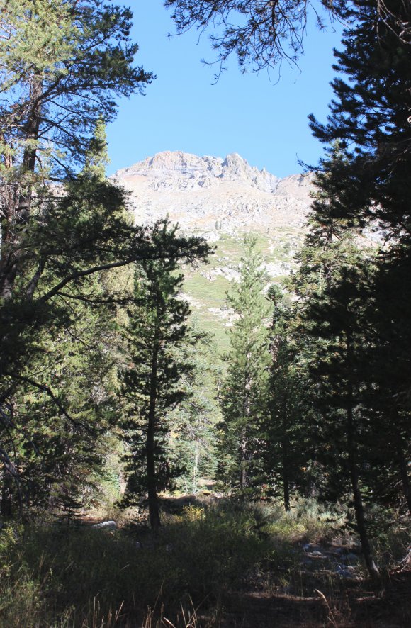 Back of Round Top