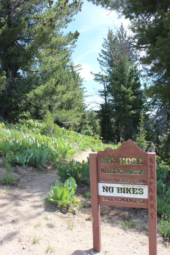Mt. Rose Wilderness