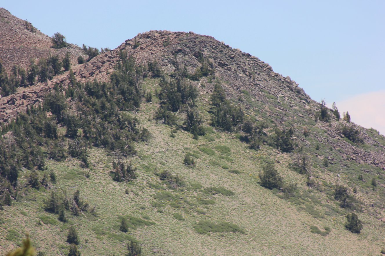 Trail going up
