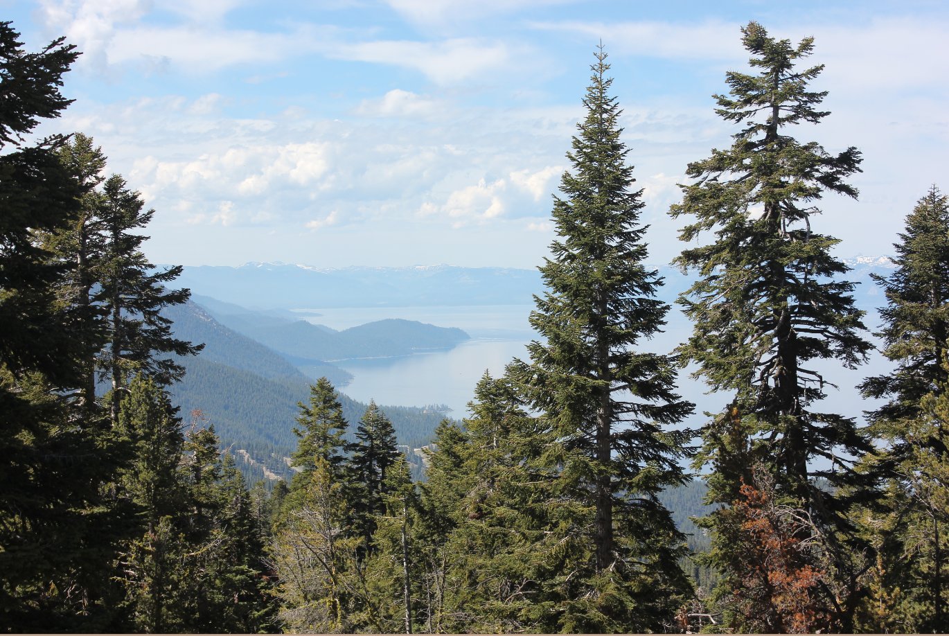 First views